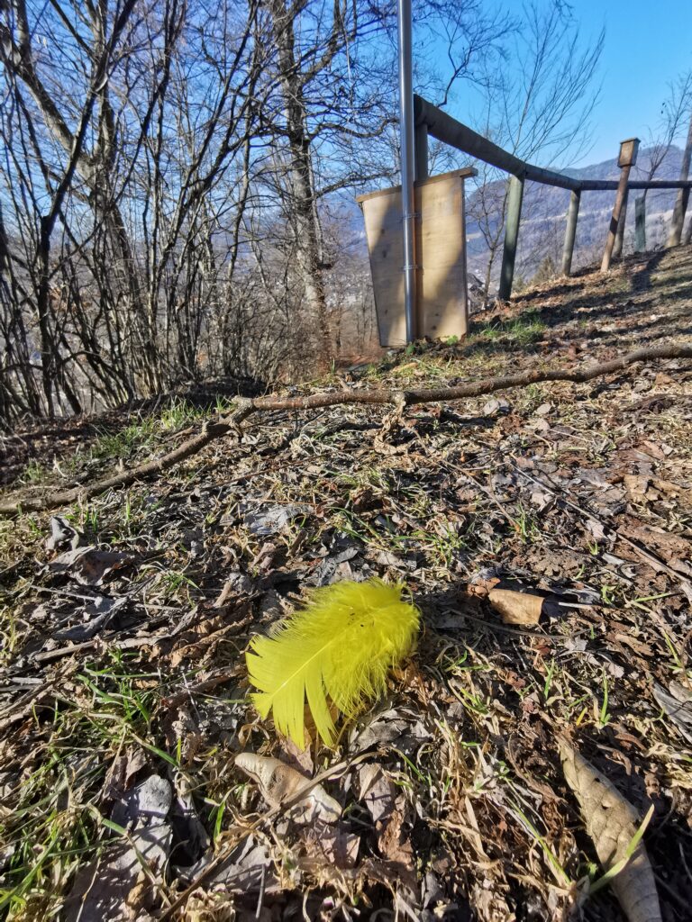 Identität in der Natur finden